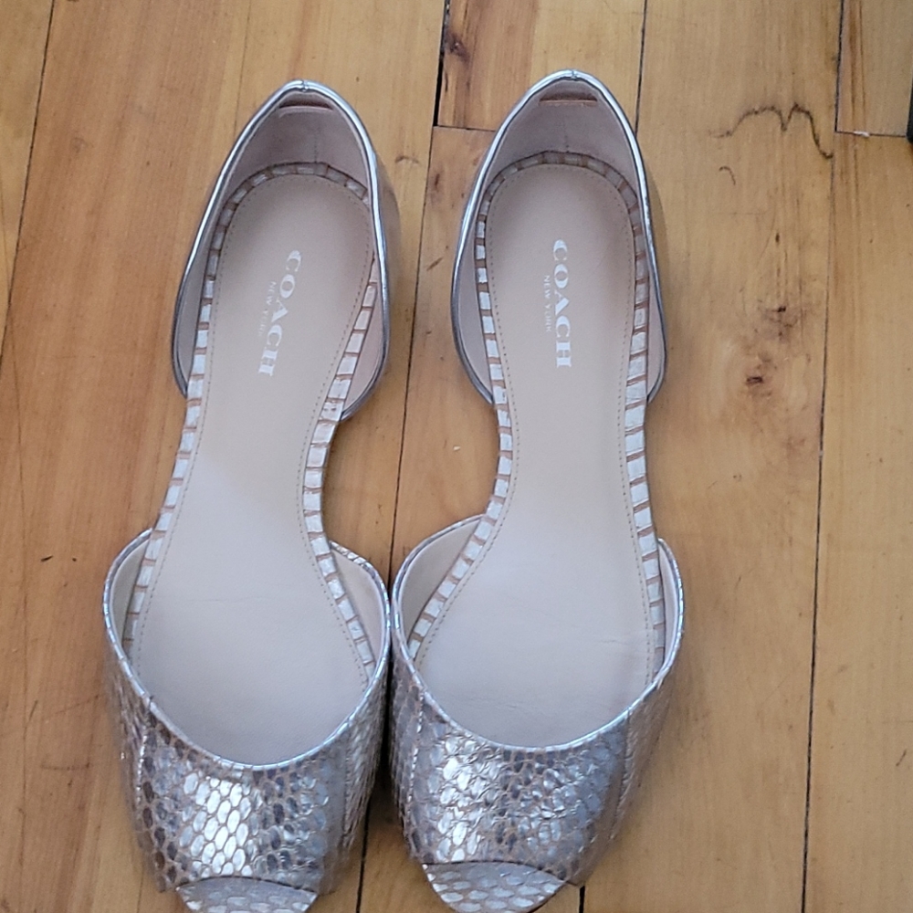 Coach Sherlock flats in snakeskin leather.
